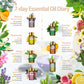 Pure Essential Oil 15 Piece Gift Set Natural Plant Fragrance
